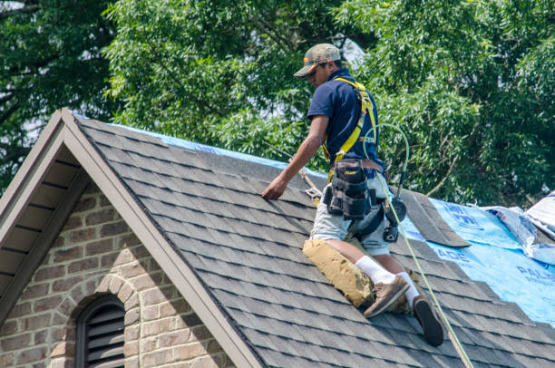 Best Roof Gutter Cleaning  in Bolivar Peninsula, TX